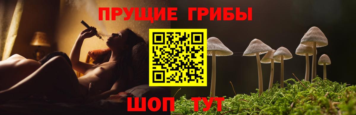 Казань  Псилоцибиновые грибы ЛСД  Вход с VPN 